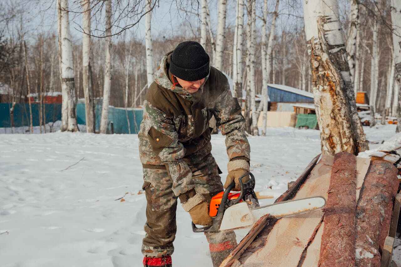 Reliable Caribou, ME Tree Service Solutions